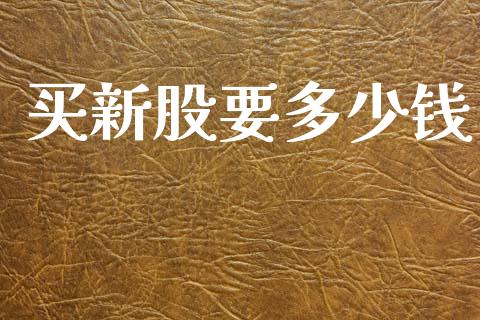 买新股要多少钱_https://wap.lxcailiao.com_金融监管_第1张