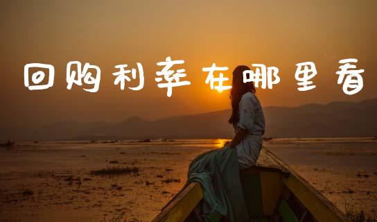 回购利率在哪里看_https://wap.lxcailiao.com_股权投资_第1张