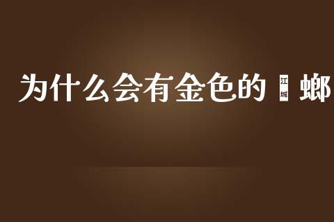 为什么会有金色的蟑螂_https://wap.lxcailiao.com_金融监管_第1张