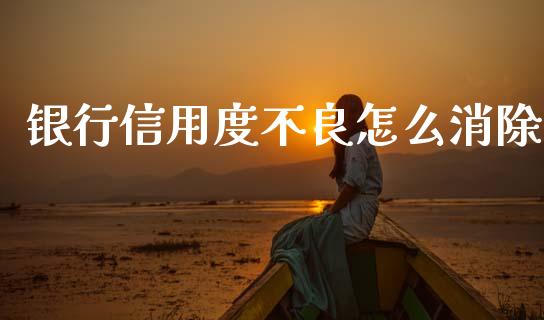 银行信用度不良怎么消除_https://wap.lxcailiao.com_金融监管_第1张