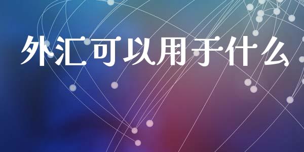 外汇可以用于什么_https://wap.lxcailiao.com_股权投资_第1张