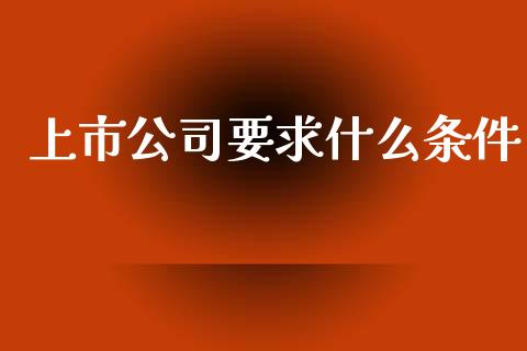 上市公司要求什么条件_https://wap.lxcailiao.com_股权投资_第1张