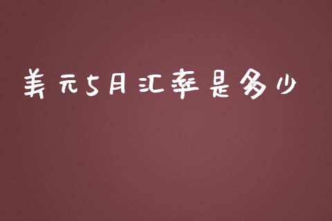 美元5月汇率是多少_https://wap.lxcailiao.com_财务管理_第1张