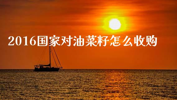 2016国家对油菜籽怎么收购_https://wap.lxcailiao.com_财务管理_第1张