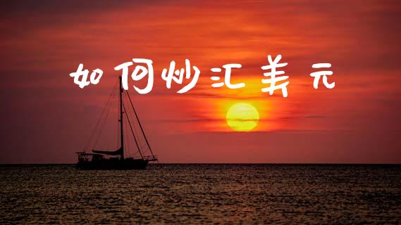 如何炒汇美元_https://wap.lxcailiao.com_金融监管_第1张