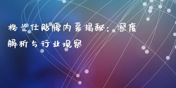 格兰仕贴牌内幕揭秘：深度解析与行业观察_https://wap.lxcailiao.com_融资担保_第1张