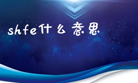 shfe什么意思_https://wap.lxcailiao.com_金融监管_第1张