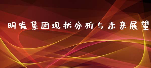 明发集团现状分析与未来展望_https://wap.lxcailiao.com_财务管理_第1张