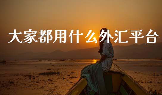 大家都用什么外汇平台_https://wap.lxcailiao.com_股权投资_第1张