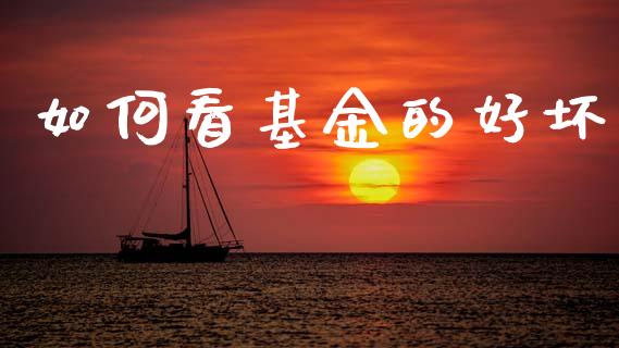如何看基金的好坏_https://wap.lxcailiao.com_财务管理_第1张