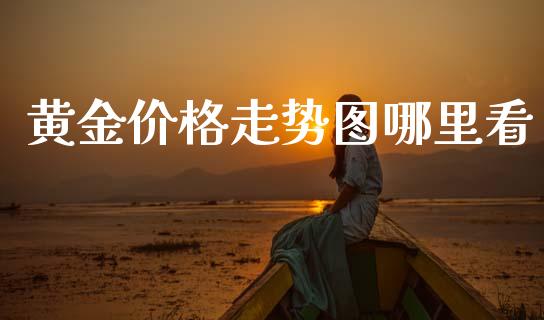 黄金价格走势图哪里看_https://wap.lxcailiao.com_财务管理_第1张