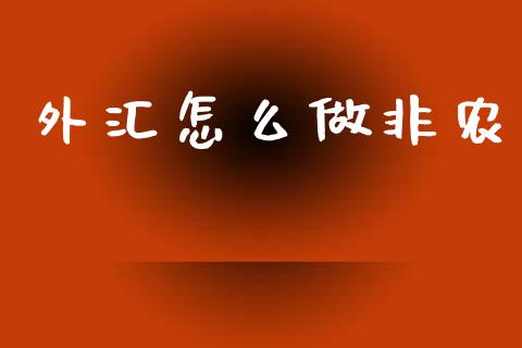 外汇怎么做非农_https://wap.lxcailiao.com_金融监管_第1张
