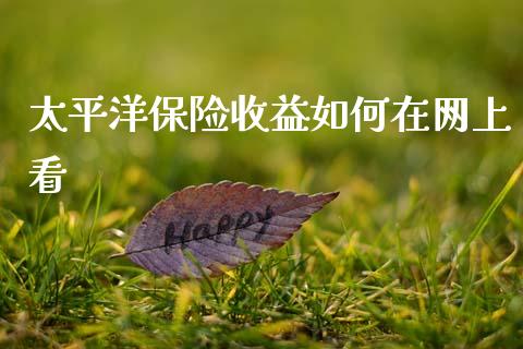 太平洋保险收益如何在网上看_https://wap.lxcailiao.com_财务管理_第1张