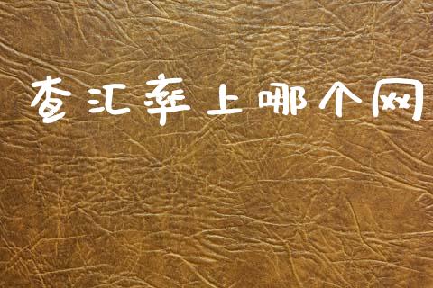 查汇率上哪个网_https://wap.lxcailiao.com_融资担保_第1张