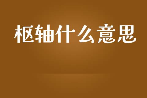 枢轴什么意思_https://wap.lxcailiao.com_财务管理_第1张