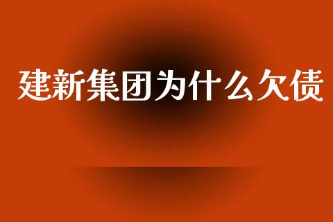建新集团为什么欠债_https://wap.lxcailiao.com_融资担保_第1张