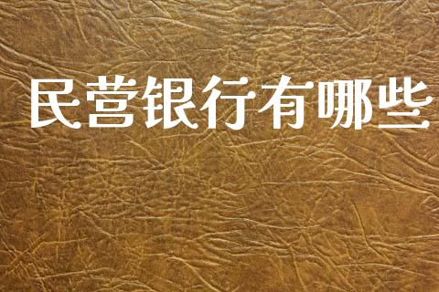 民营银行有哪些_https://wap.lxcailiao.com_融资担保_第1张