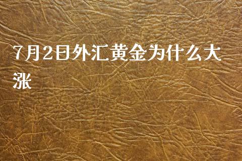 7月2日外汇黄金为什么大涨_https://wap.lxcailiao.com_融资担保_第1张