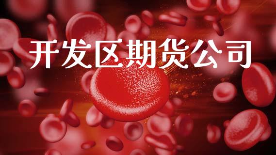 开发区期货公司_https://wap.lxcailiao.com_财务管理_第1张