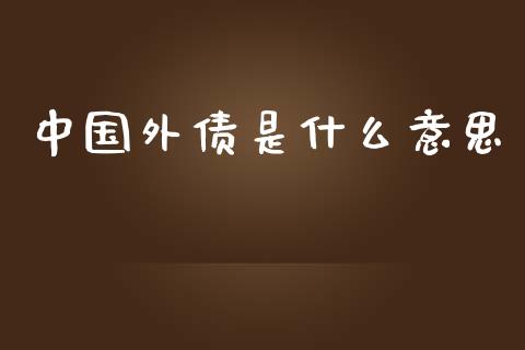 中国外债是什么意思_https://wap.lxcailiao.com_财务管理_第1张