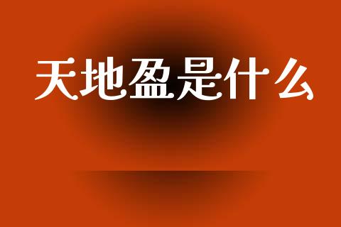天地盈是什么_https://wap.lxcailiao.com_财务管理_第1张