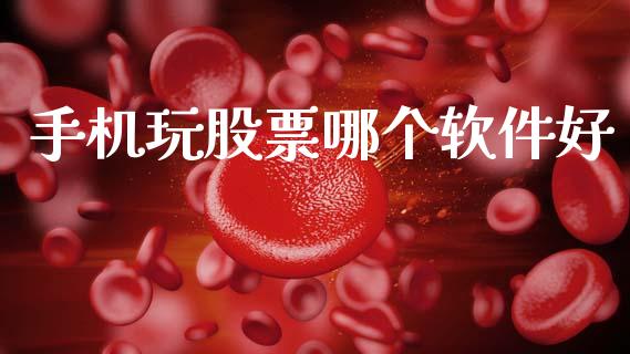 手机玩股票哪个软件好_https://wap.lxcailiao.com_财务管理_第1张