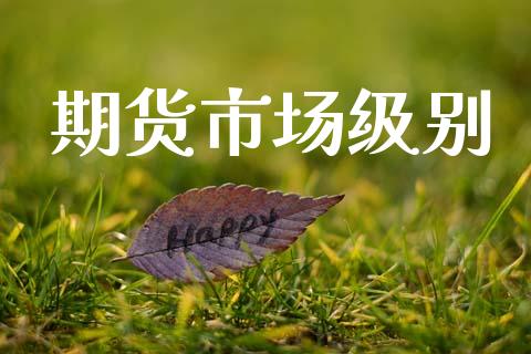 期货市场级别_https://wap.lxcailiao.com_财务管理_第1张