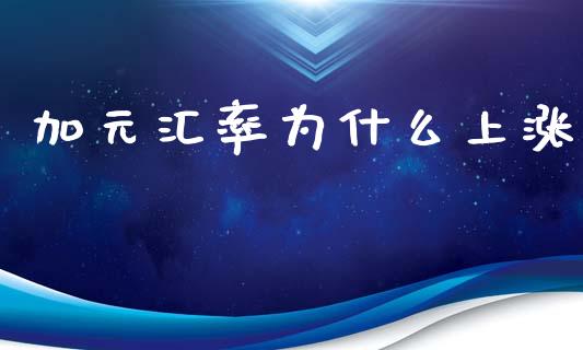 加元汇率为什么上涨_https://wap.lxcailiao.com_金融监管_第1张
