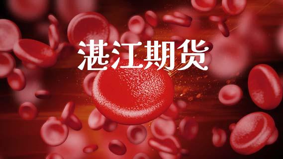 湛江期货_https://wap.lxcailiao.com_融资担保_第1张