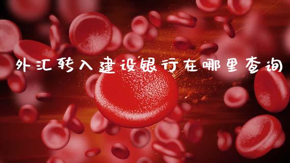 外汇转入建设银行在哪里查询_https://wap.lxcailiao.com_股权投资_第1张