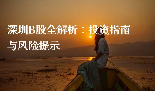 深圳B股全解析：投资指南与风险提示_https://wap.lxcailiao.com_融资担保_第1张