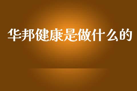 华邦健康是做什么的_https://wap.lxcailiao.com_财务管理_第1张