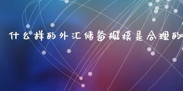 什么样的外汇储备规模是合理的_https://wap.lxcailiao.com_股权投资_第1张