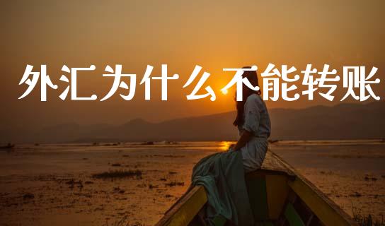 外汇为什么不能转账_https://wap.lxcailiao.com_金融监管_第1张