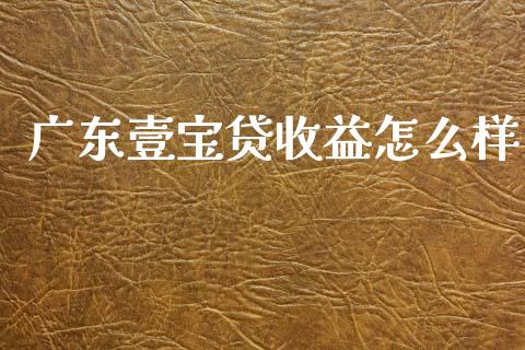 广东壹宝贷收益怎么样_https://wap.lxcailiao.com_财务管理_第1张