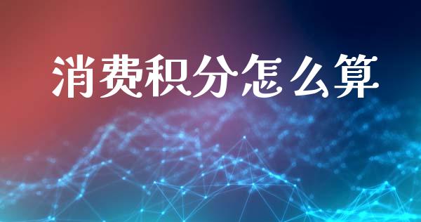 消费积分怎么算_https://wap.lxcailiao.com_股权投资_第1张