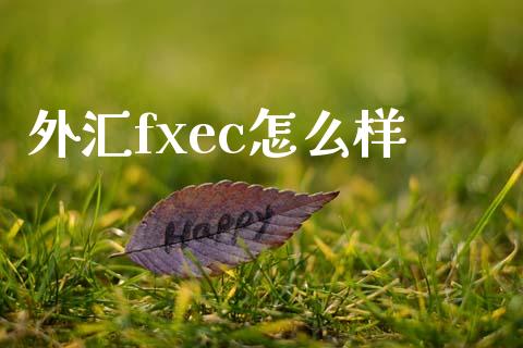外汇fxec怎么样_https://wap.lxcailiao.com_股权投资_第1张