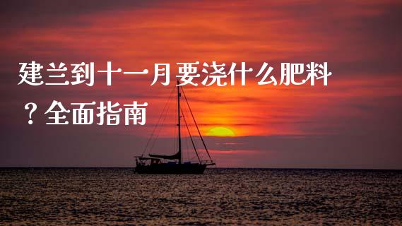建兰到十一月要浇什么肥料？全面指南_https://wap.lxcailiao.com_财务管理_第1张