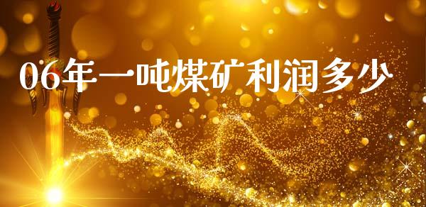 06年一吨煤矿利润多少_https://wap.lxcailiao.com_财务管理_第1张