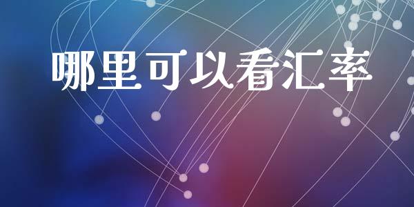 哪里可以看汇率_https://wap.lxcailiao.com_融资担保_第1张