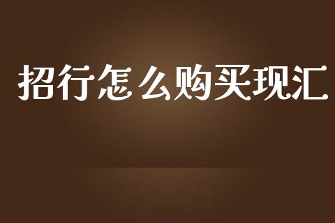 招行怎么购买现汇_https://wap.lxcailiao.com_财务管理_第1张