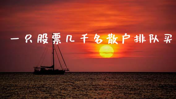 一只股票几千名散户排队买_https://wap.lxcailiao.com_股权投资_第1张