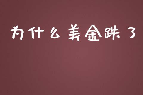 为什么美金跌了_https://wap.lxcailiao.com_财务管理_第1张