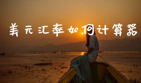 美元汇率如何计算器_https://wap.lxcailiao.com_金融监管_第1张