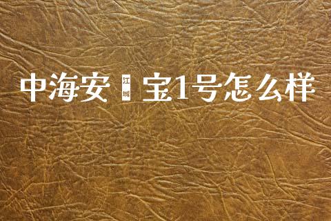 中海安鑫宝1号怎么样_https://wap.lxcailiao.com_财务管理_第1张