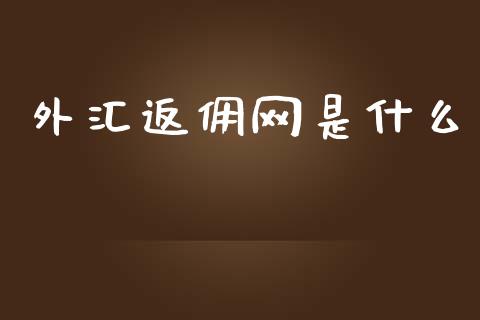 外汇返佣网是什么_https://wap.lxcailiao.com_股权投资_第1张