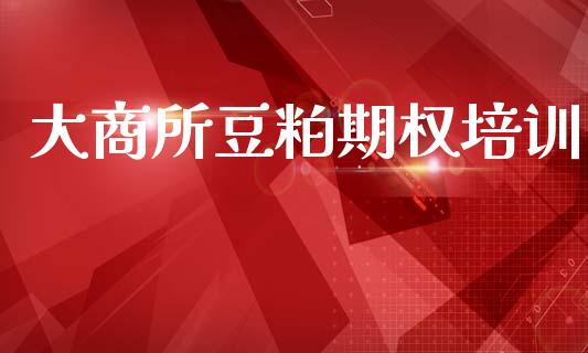 大商所豆粕期权培训_https://wap.lxcailiao.com_财务管理_第1张