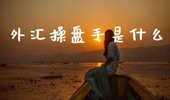 外汇操盘手是什么_https://wap.lxcailiao.com_金融监管_第1张