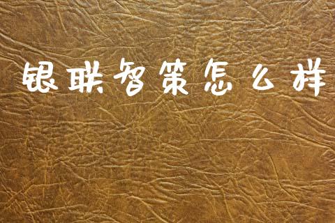银联智策怎么样_https://wap.lxcailiao.com_融资担保_第1张