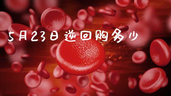 5月23日逆回购多少_https://wap.lxcailiao.com_财务管理_第1张